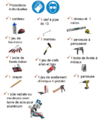 Vignette pour la version du 15 mai 2025 à 14:03